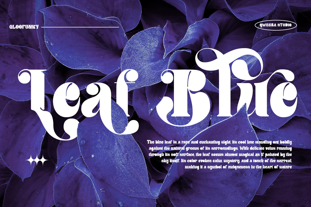 Gloofunky - Elegant Display Font, a Serif Font by Qweera Studio (Photo 7 of 10)