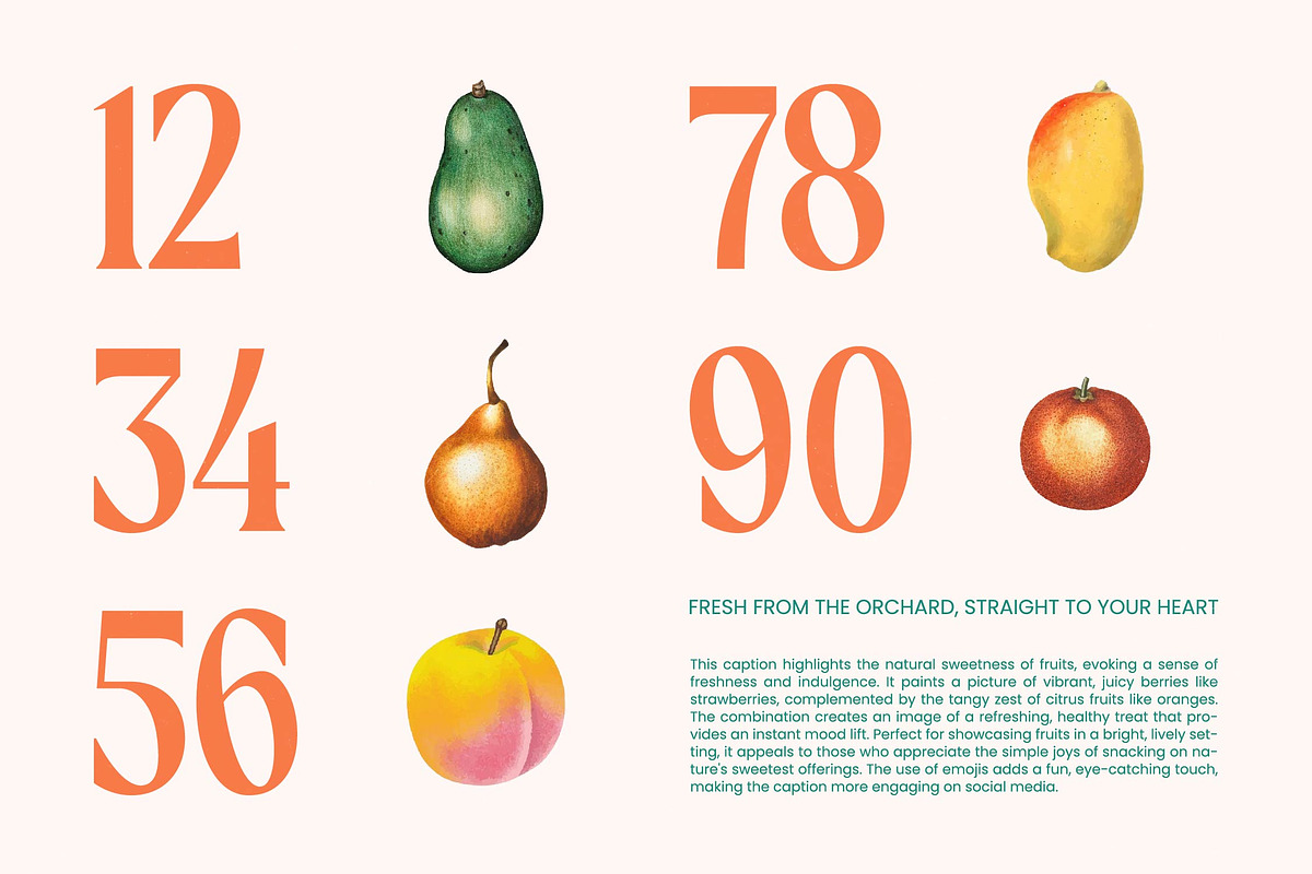 Agnofy Rusting Bold Tall Serif Font, a Serif Font by timelesstype.co (Photo 4 of 20)