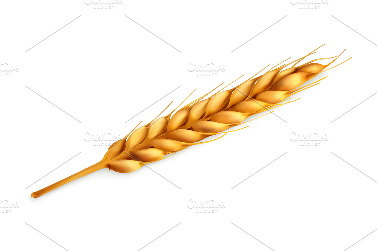 Bread, bakery, wheat, vector icons, an Icon by Allevinatis Studio (Photo 2 of 3)