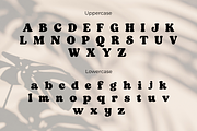 Groovy Bloom – Bold Retro Groovy, a Serif Font by AN Productions (Thumbnail 3 of 4)