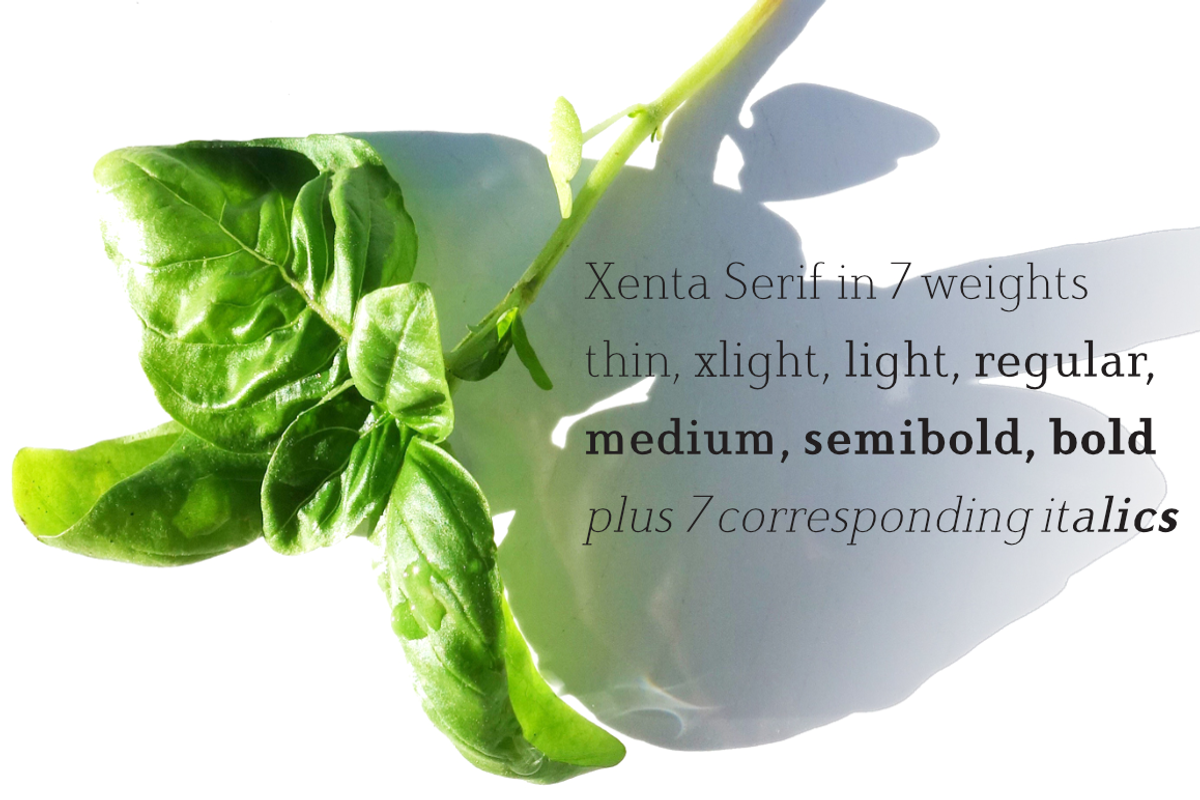 Xenta Serif fonts, a Serif Font by Wiescher Design (Photo 7 of 8)