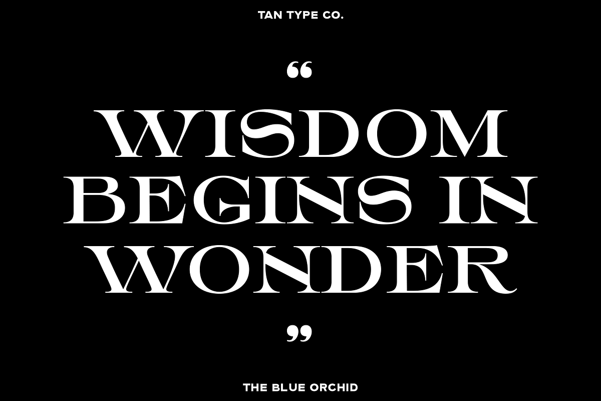 TAN - THE BLUE ORCHID, a Serif Font by TanType (Photo 2 of 12)