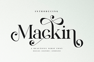 Mackin - Beautiful Serif Font