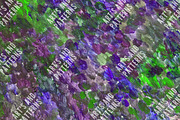 Emerald Acrylic Textures Pack, a Texture Graphic by Art's and patterns (Thumbnail 12 of 16)