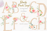 Blush Peach Sage flowers, a Texture Illustration by LABFcreations (Thumbnail 12 of 13)