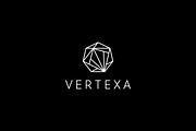 Vertexa Abstract AI & Geometric logo, a Branding & Logo Template by arhabib (Thumbnail 6 of 9)