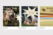 Roar For Lions - Instagram Post, a Social Media Template by Izdihaar_Studio (Thumbnail 2 of 4)
