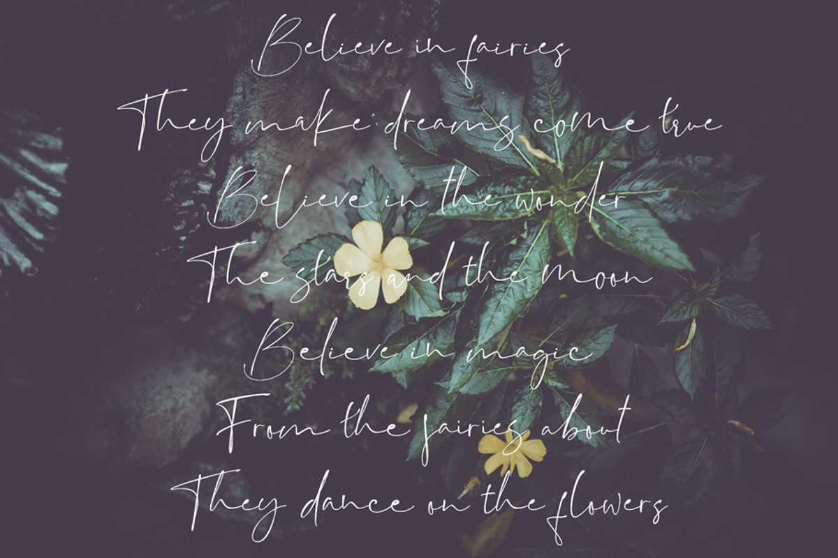Backwash - Casual Script Font, a Script Font by Fontcastle (Photo 5 of 9)