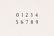 Apricot - Handlettered Serif Font, a Serif Font by Minna May Design (Thumbnail 9 of 10)