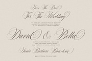 Delighton Script, a Script Font by Has_rizal (Thumbnail 4 of 15)