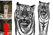 Vector Tracing Pro, an Action Add-On by MRI STUDIO (Thumbnail 12 of 15)