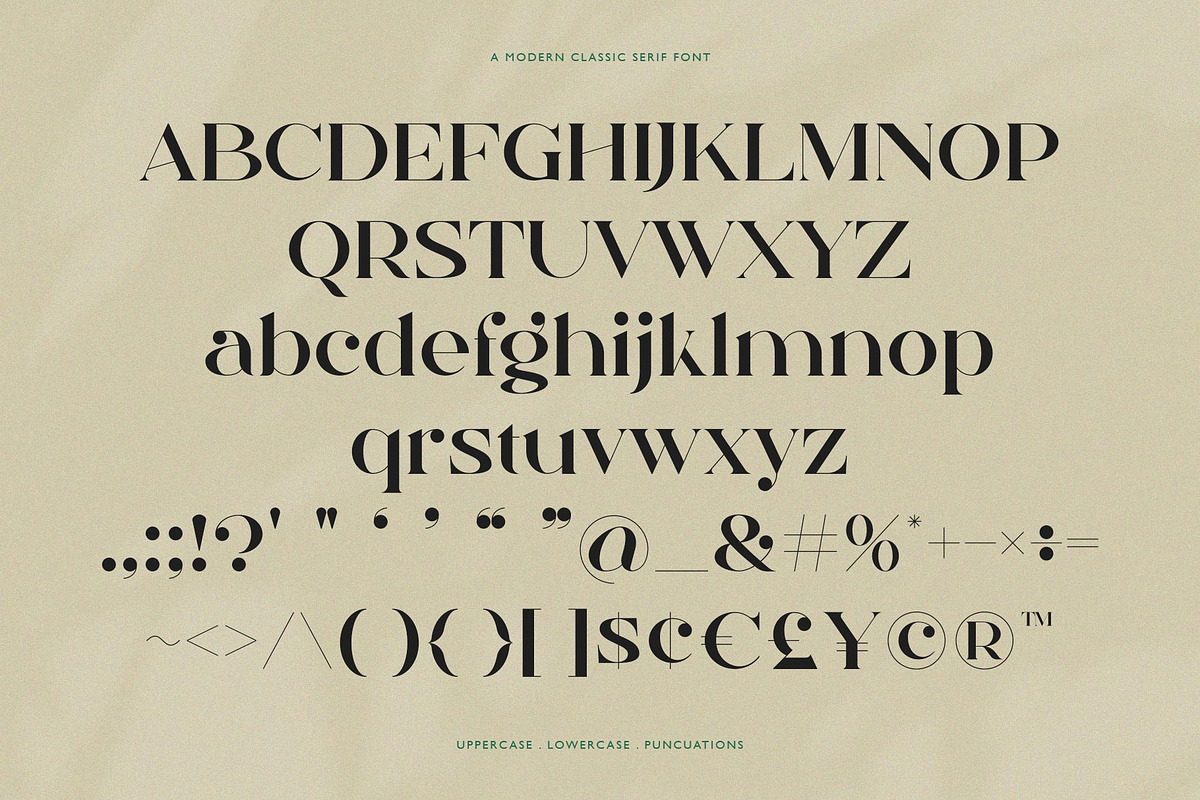 Qamille - Modern Classic Serif Font, a Serif Font by StudioinBry (Photo 11 of 13)