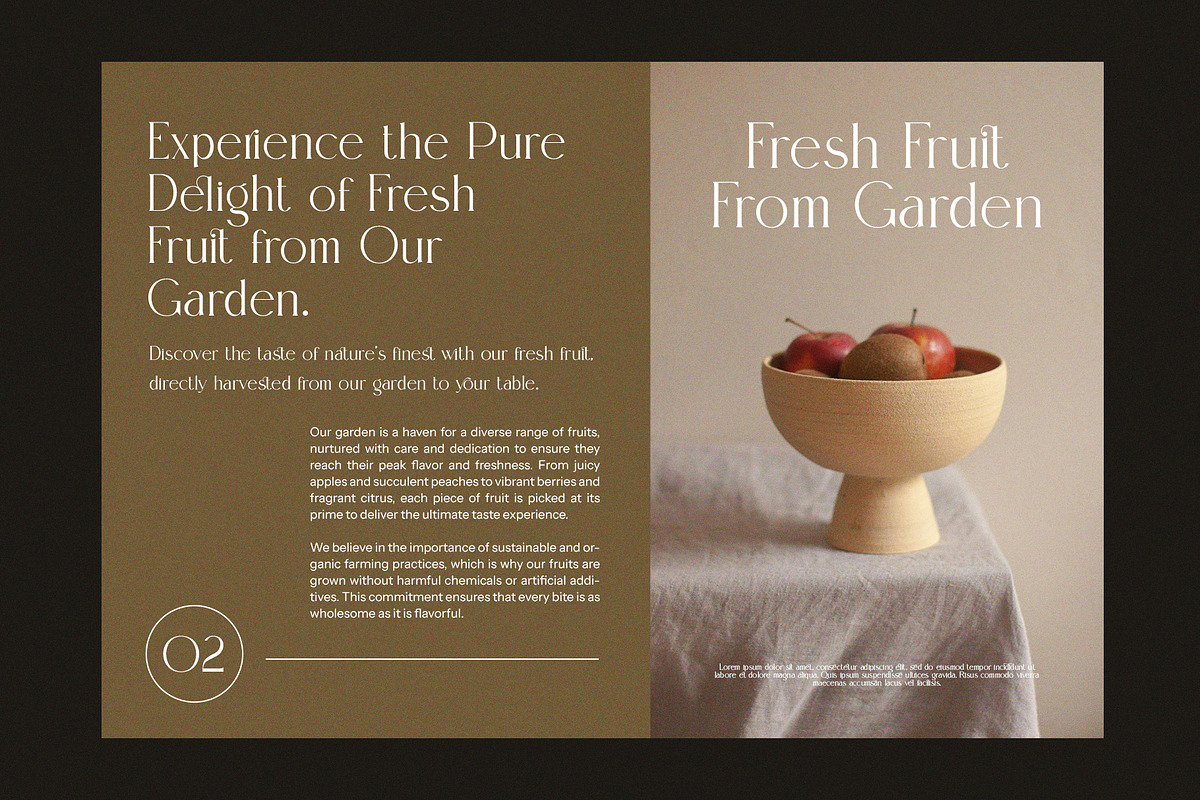 Qelgin Modern Serif Font, a Serif Font by Perfectype (Photo 3 of 8)