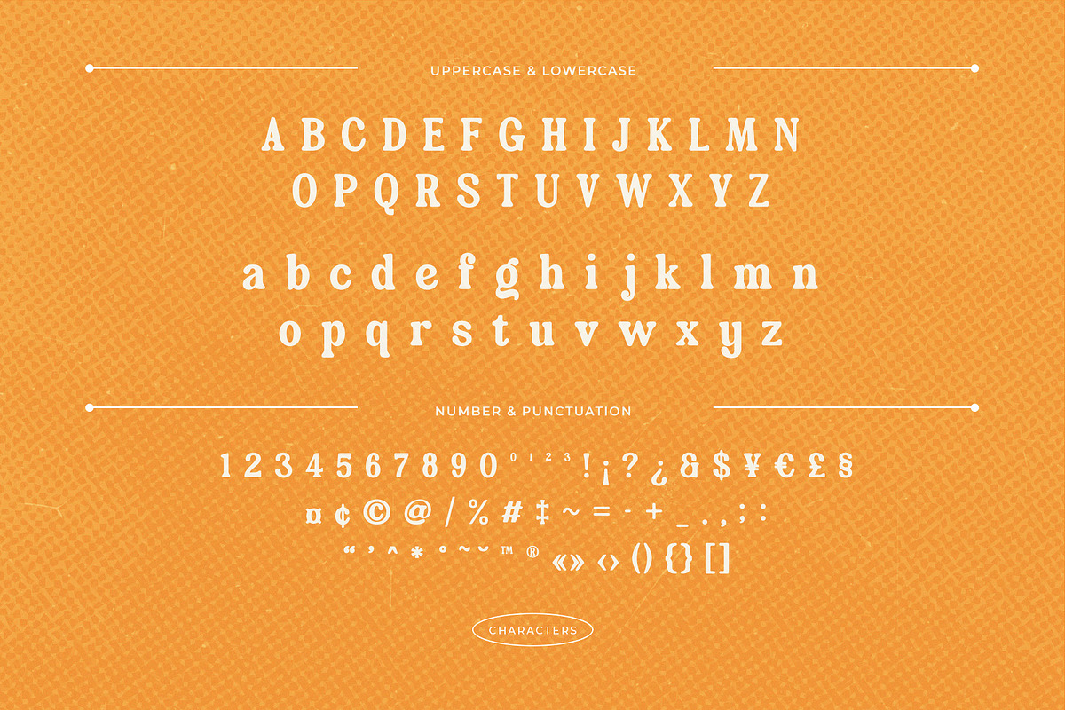 Velvet Mango – Retro Serif Font, a Serif Font by Krismagraph (Photo 9 of 12)