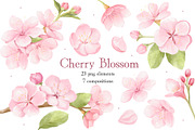 Watercolor Cherry Blossom Clipart, an Object Illustration by ArtGiftsStudio (Thumbnail 1 of 5)