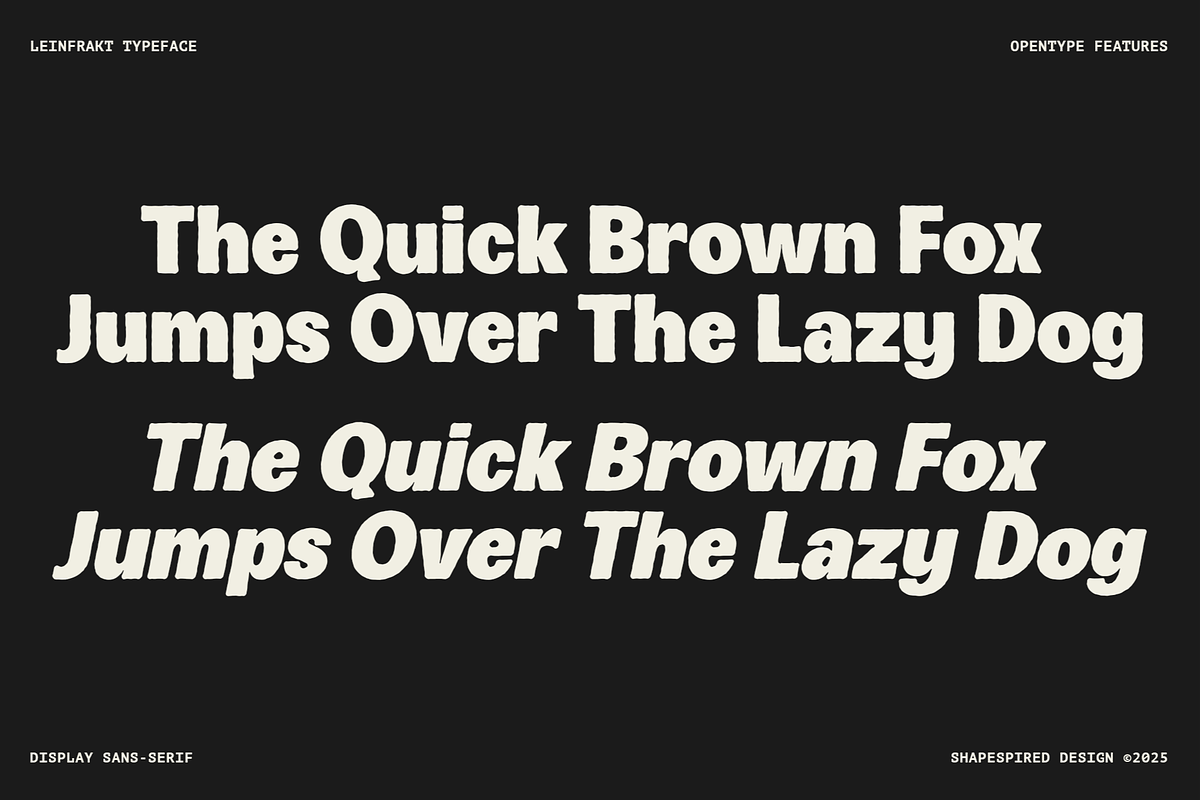 Leinfrakt - Heavy Display Sans, a Sans Serif Font by Shapespired Design (Photo 11 of 16)