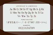 Molevin - Elegant Serif Font, a Serif Font by Aqeel_Art (Thumbnail 11 of 13)