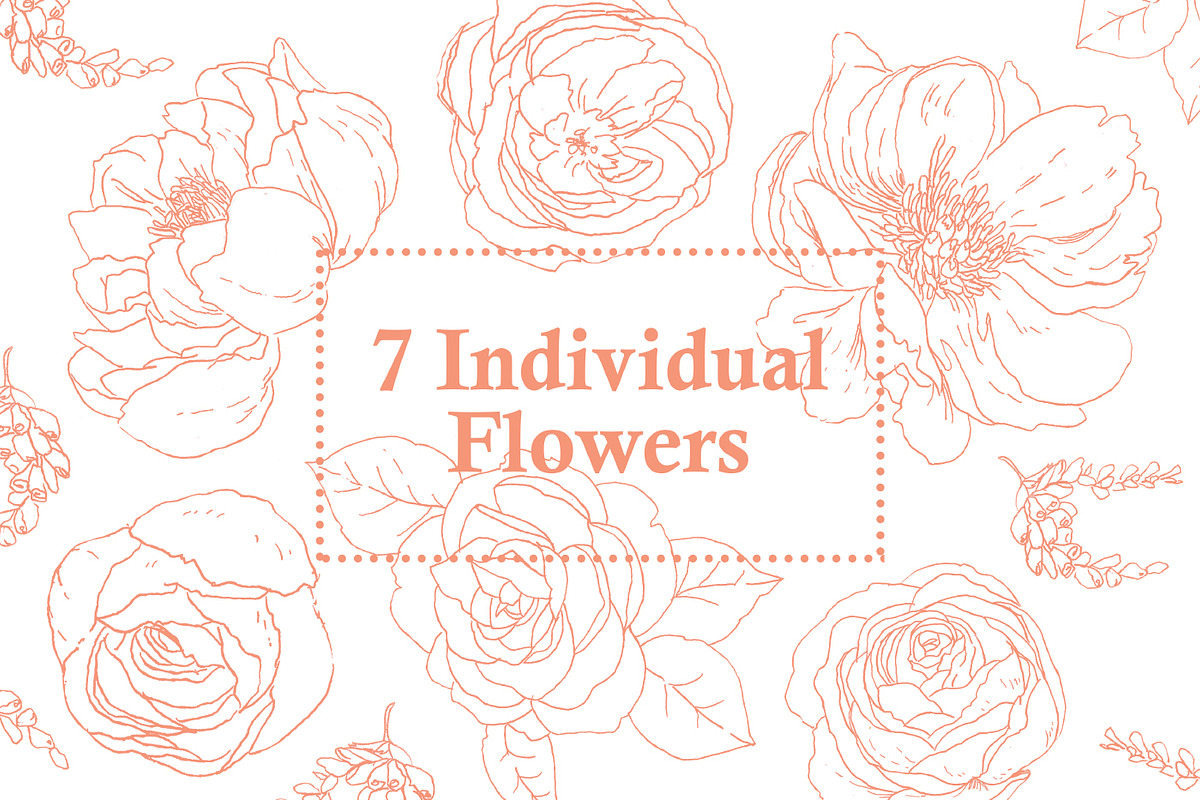 Winter Joy - Flowers & Foliages, an Illustration by clairedelune (Photo 2 of 7)