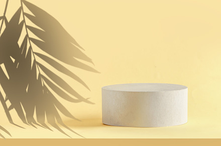 Product display with palm leaf, an Arts & Entertainment Photo by VICUSCHKA