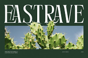 Eastrave, a Serif Font by din-studio.com (Thumbnail 1 of 11)
