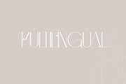 Qegor Modern and Minimalist Serif, a Serif Font by Storytype Studio (Thumbnail 9 of 12)