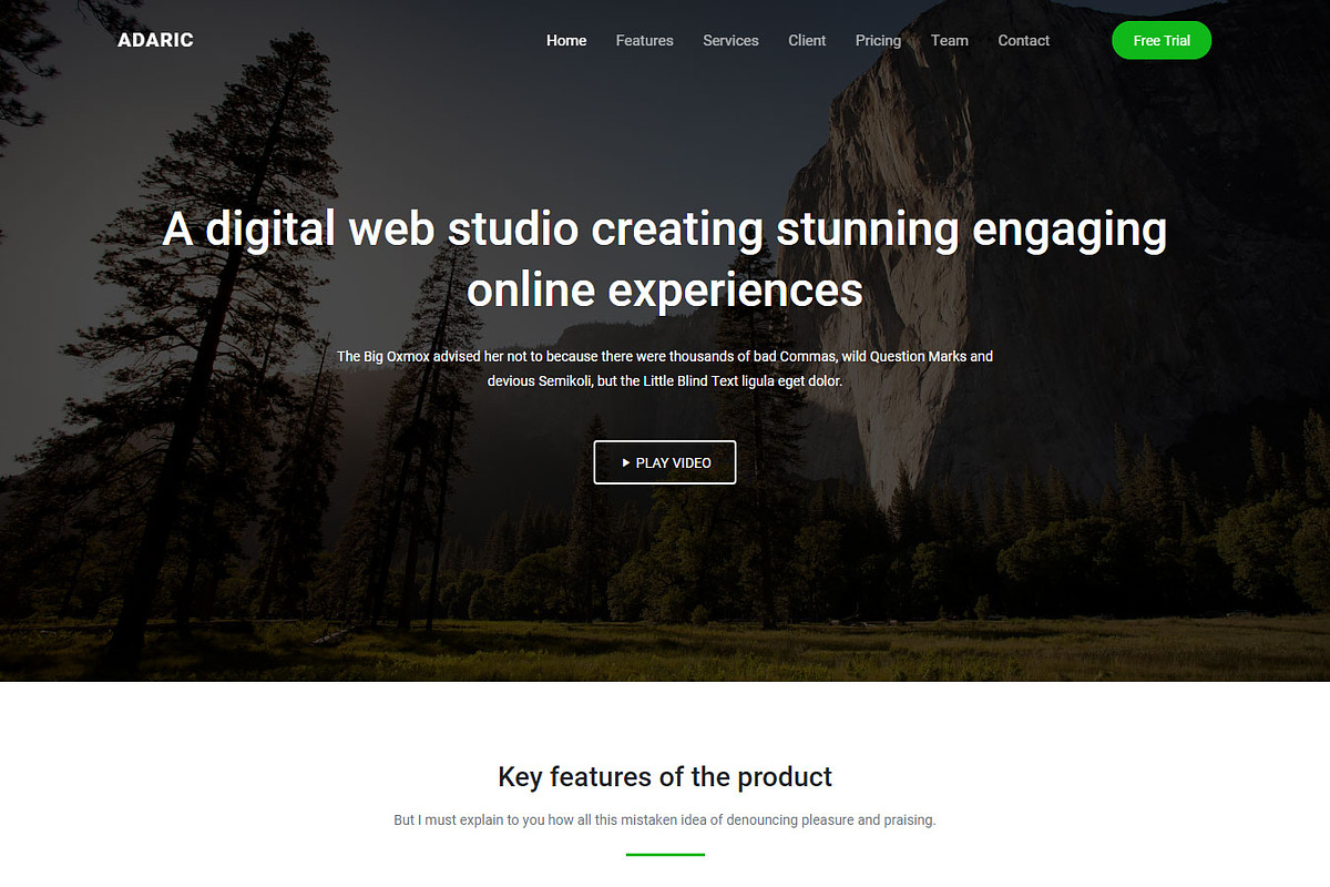 Adaric - Landing Page Template, a HTML Template by Pichforest Studio (Photo 4 of 6)