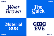 Euraliax - Display Font Family, a Font by Differentialtype (Thumbnail 8 of 12)
