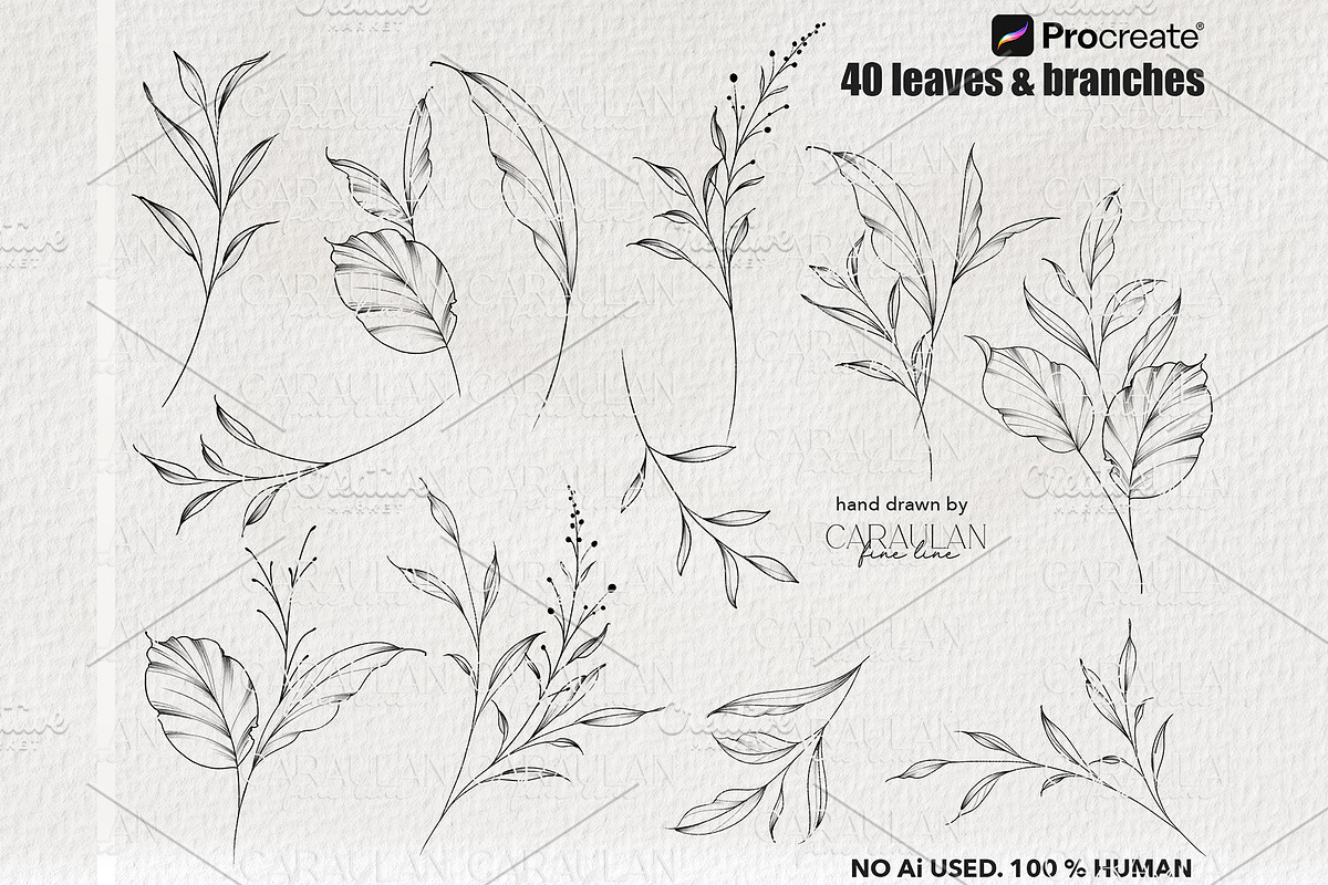 Leaves & Branches Fine Line Stamps, a Brush Add-On by CaraulanStore (Photo 3 of 7)
