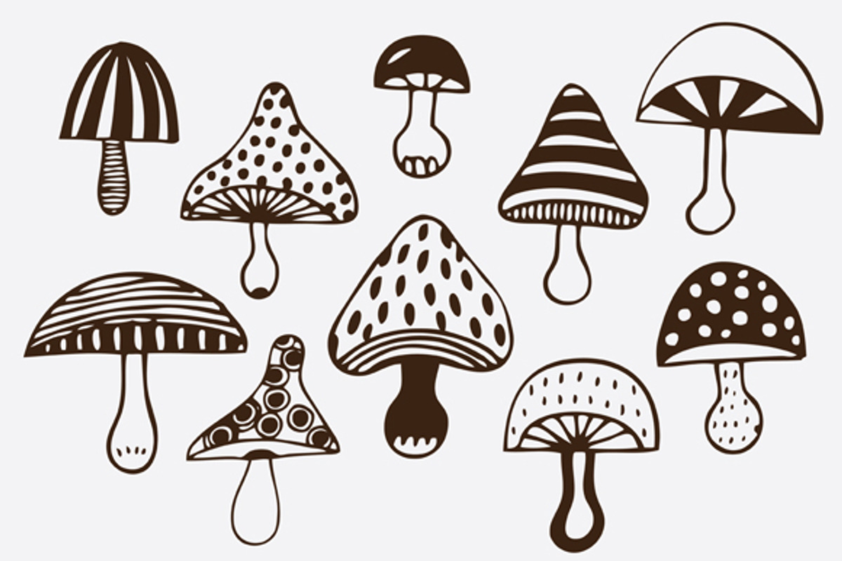 Magic mushrooms preview 5