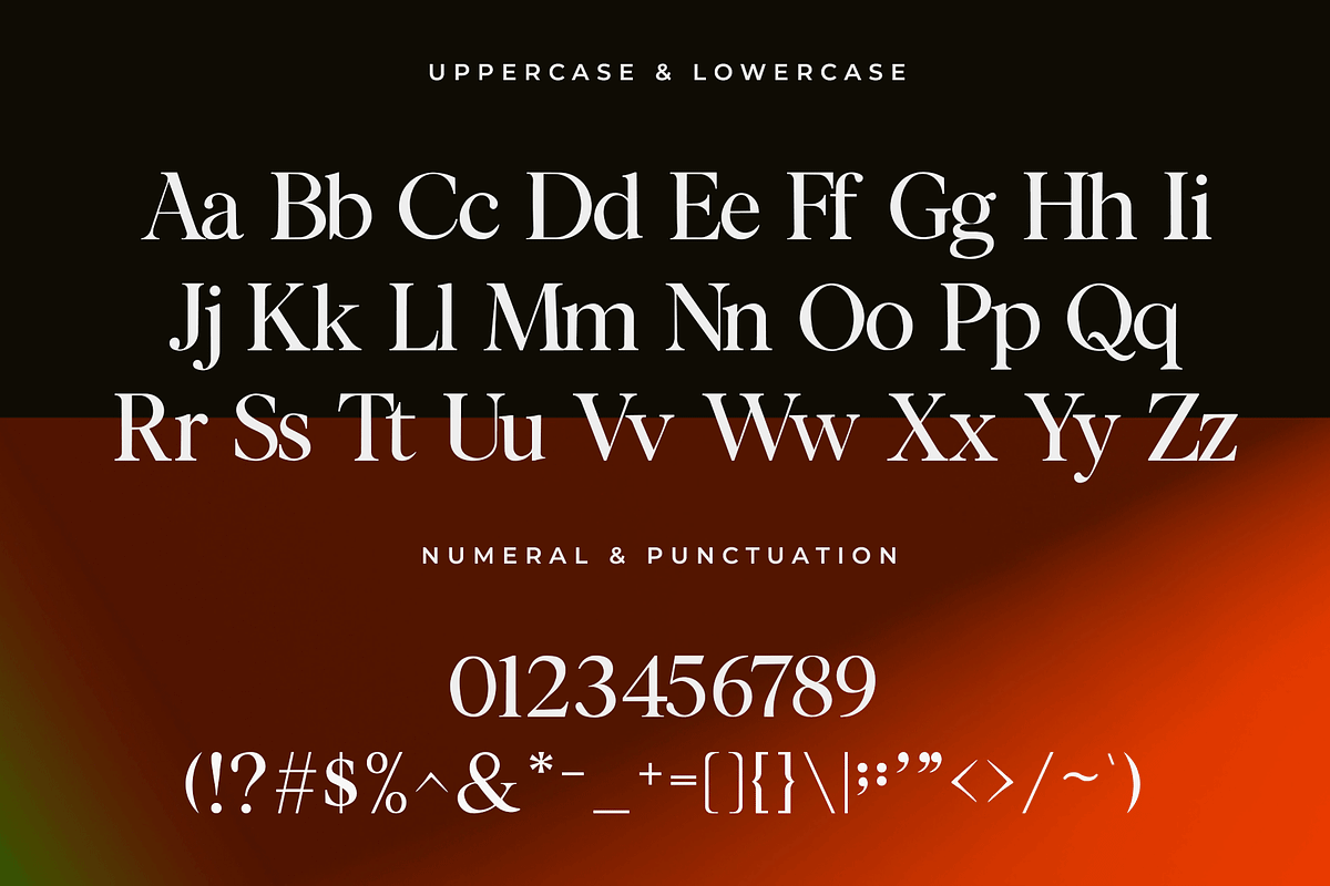 Orvaless – Modern Serif Font, a Serif Font by overlaytemplates (Photo 4 of 5)
