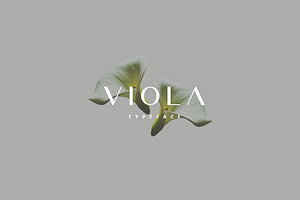 Premium Product - Viola Typeface