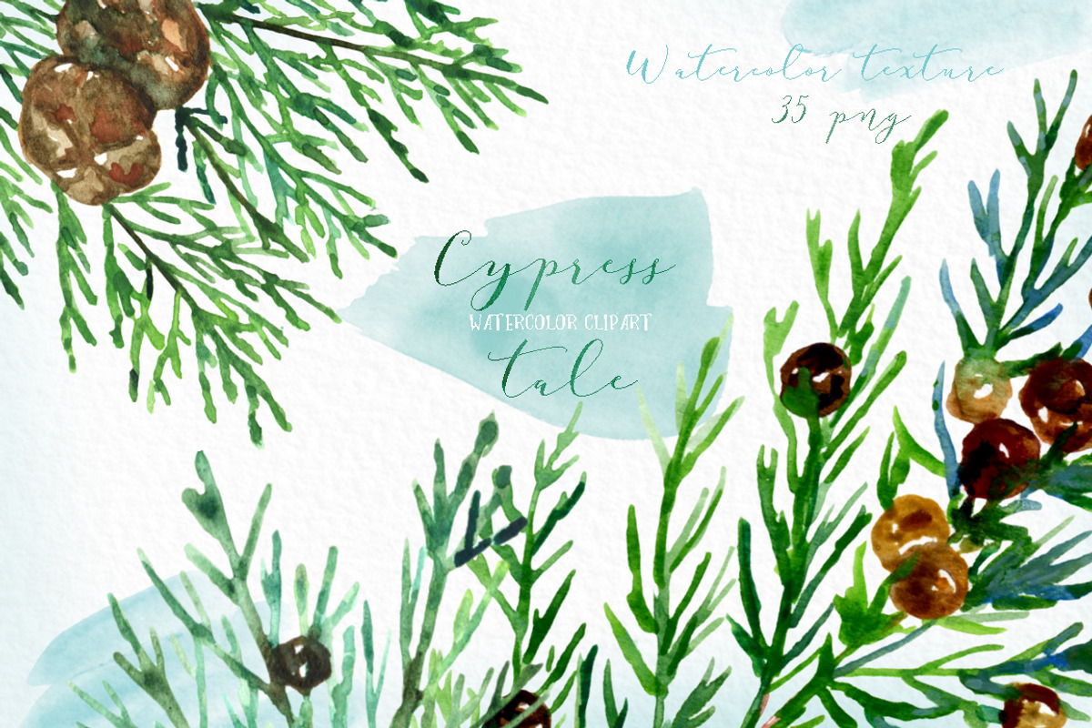 Cypress. Watercolor clipart, a Decorative Illustration by LABFcreations (Photo 7 of 12)