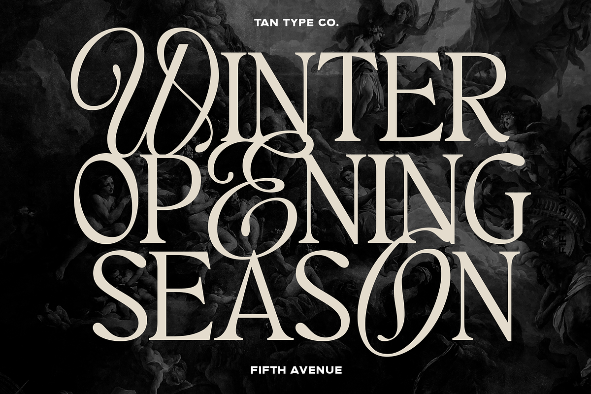 TAN - FIFTH AVENUE, a Serif Font by TanType (Photo 3 of 11)