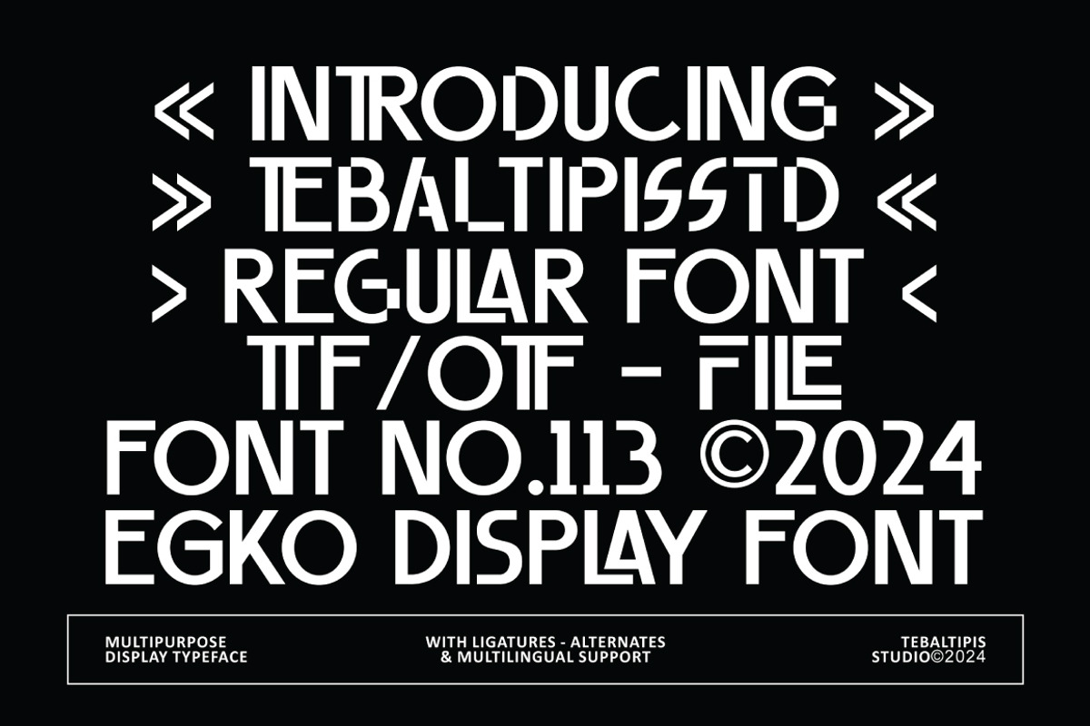 Egko - Display Font, a Sans Serif Font by tebaltipislab (Photo 2 of 10)