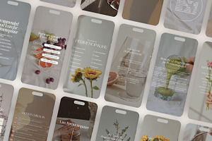 Menopause Instagram Reels Canva, a Templates & Theme by Naturopath Hub