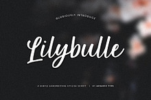Lilybulle - Simple Stylish Script