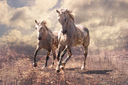 14 Landscape Sensation Presets, a Preset Add-On by Timeless Presets (Thumbnail 10 of 13)