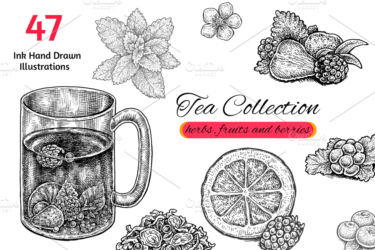 Tea Collection, a Healthcare Illustration by Eugenia Hauss Design (Photo 1 of 3)