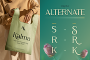 Falsome, a Serif Font by Burntilldead (Thumbnail 8 of 12)