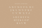 The Heart Mighty - Elegant Serif, a Serif Font by RockboyStd (Thumbnail 11 of 12)