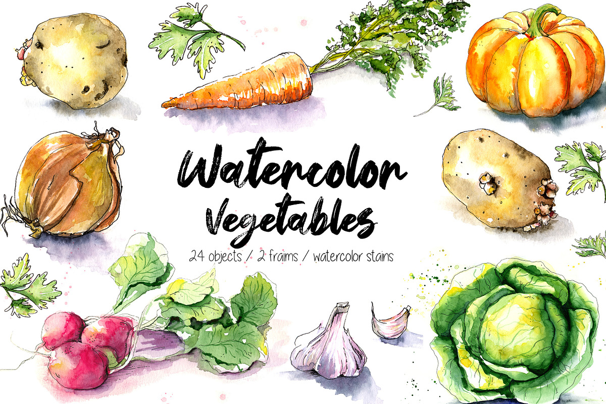 Watercolor vegetables, a Food Illustration by iri-illustration (Photo 1 of 12)