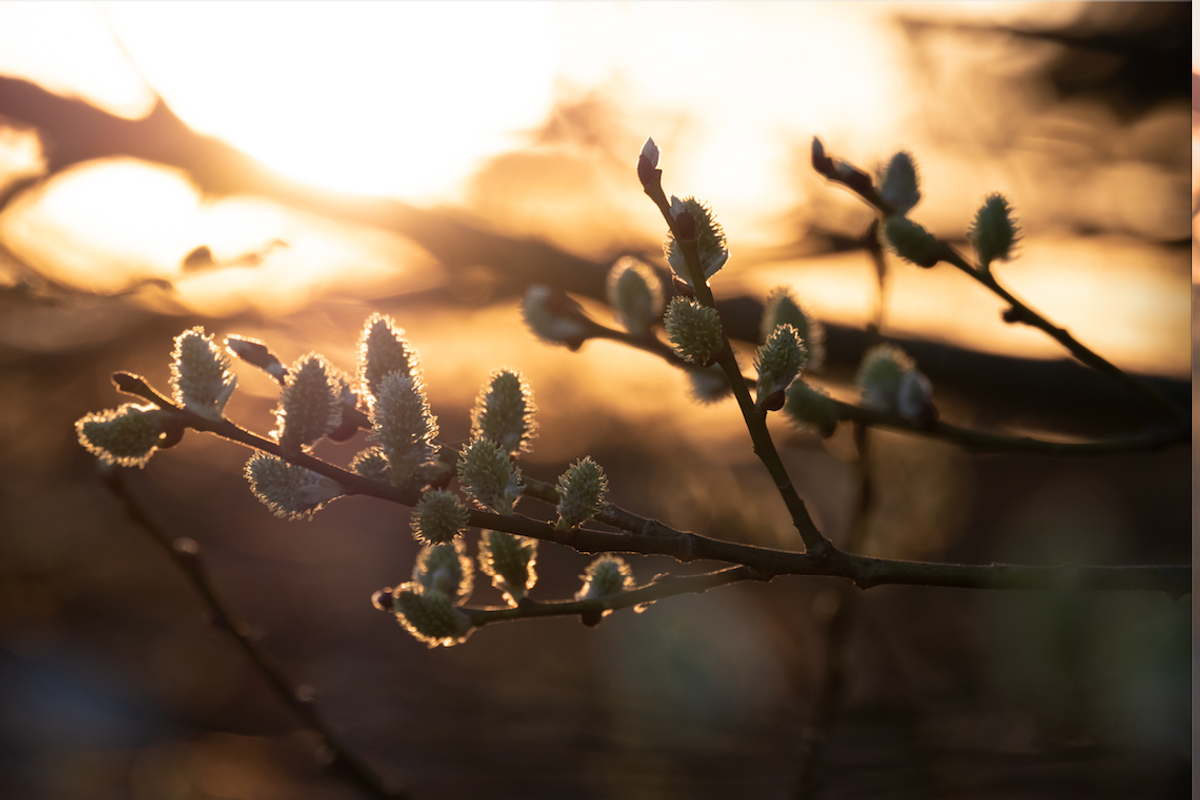 Lightroom Presets Matte & moody #1, an Action Add-On by bielefoto (Photo 3 of 3)
