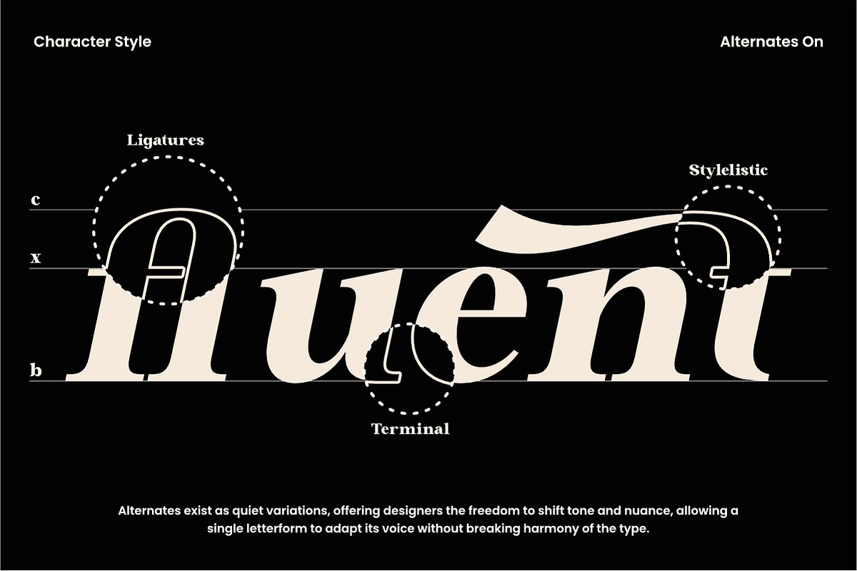Zeist Qisofay - Modern Luxury Serif, a Serif Font by NexaLine (Photo 5 of 10)