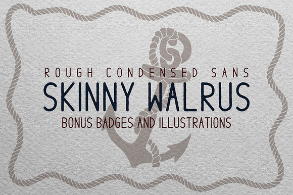 Skinny Walrus - Vintage Font + Logos preview 8
