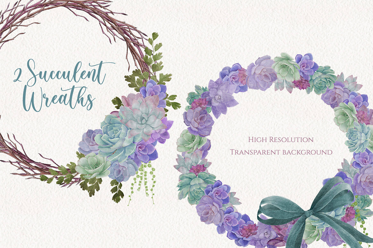 Seasonal Succulents, a Seasonal Illustration by Maggie Stilwell Design (Photo 4 of 13)