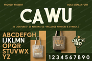 Cawu - Elegant Minimalist Serif, a Serif Font by Astuti Studio (Thumbnail 17 of 25)
