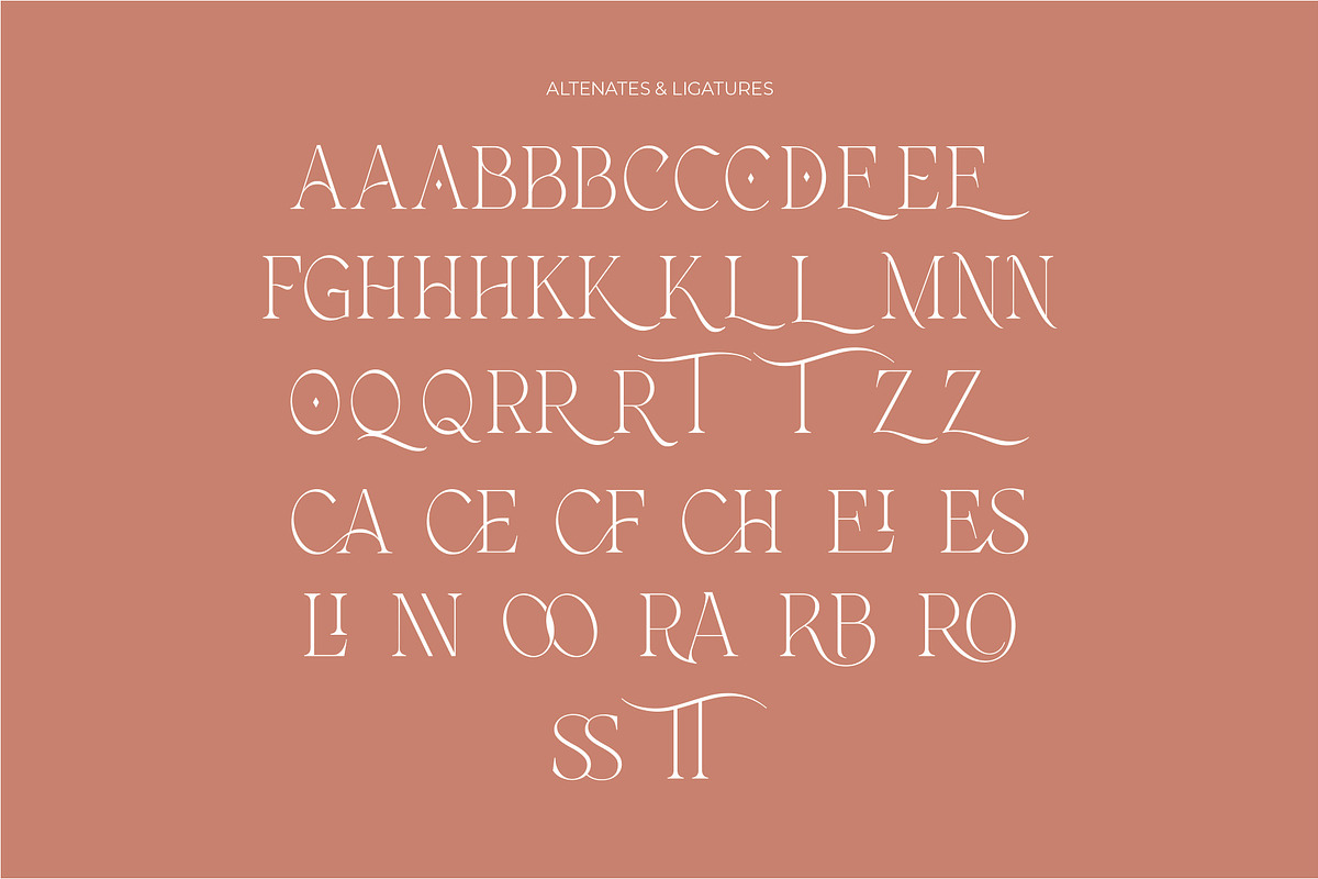 FURBELOWS - Fusion Display Typeface, a Serif Font by Havinkpen (Photo 7 of 9)