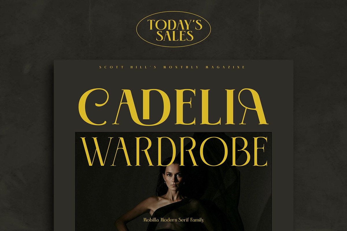Mobilla Serif Elegant, a Serif Font by alit design (Photo 2 of 16)