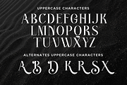 Better Authentic - Absonstype, a Serif Font by Absonstype (Thumbnail 7 of 12)