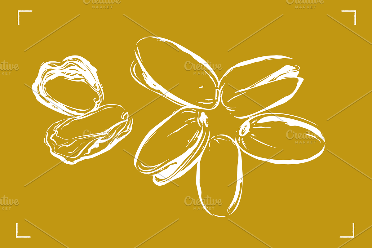 PISTACHIOS LINE ART (12+ ELEMENTS), a Food Illustration by Bonfloret Studio (Photo 6 of 7)